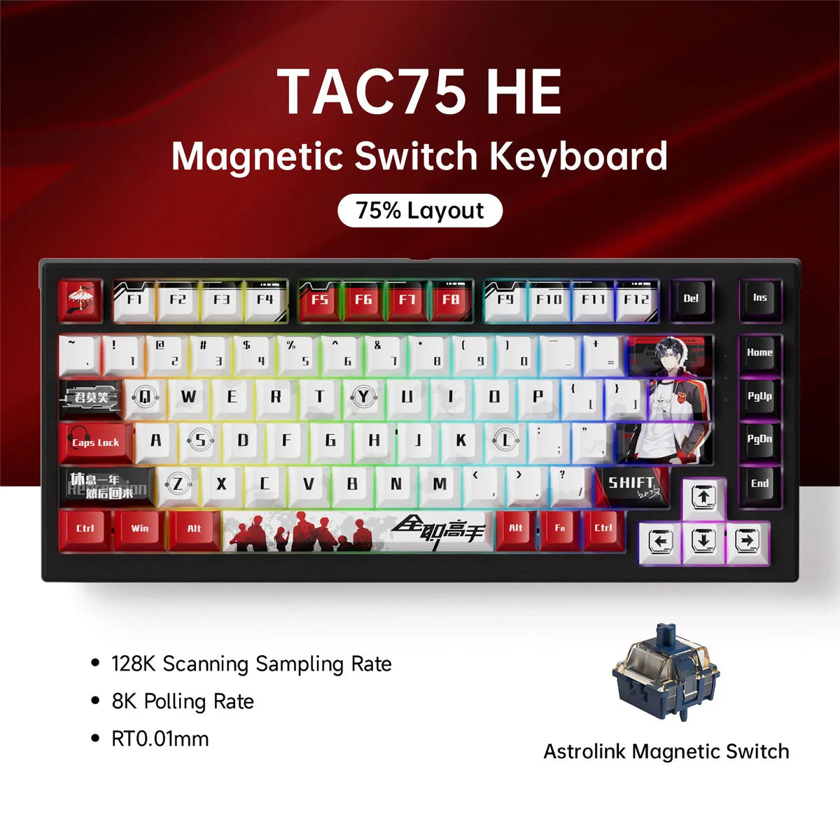 AKKO TAC75 HE Magnetic Switch Keyboard 75% Gaming Keyboards Rapid Trigger 0.005mm 8K RGB Wired Esports Custom Keyboard for Gamer
