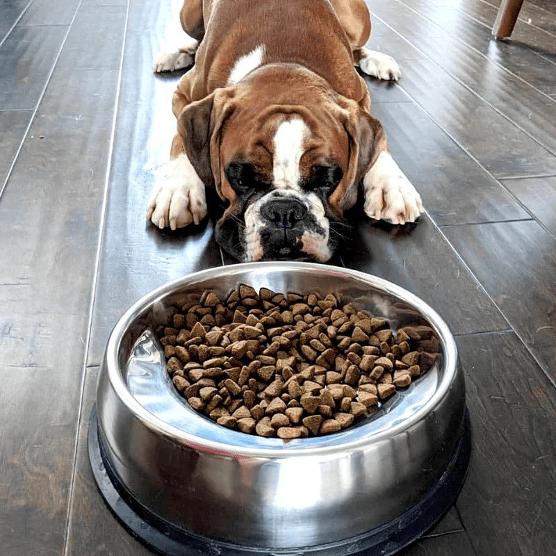 Bowls & Feeding