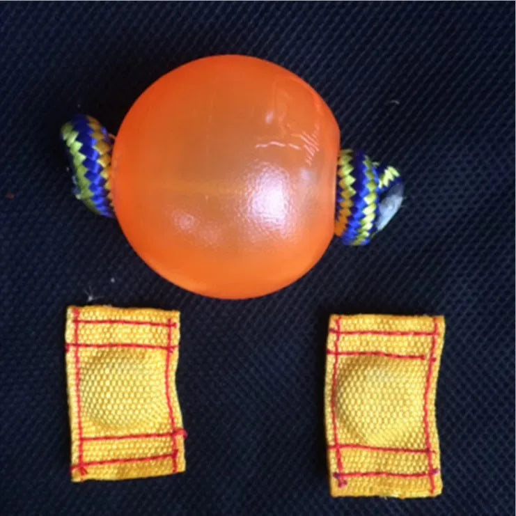 Dog Training Magnetic Ball, Orange/Blue Soft Ball with Rope