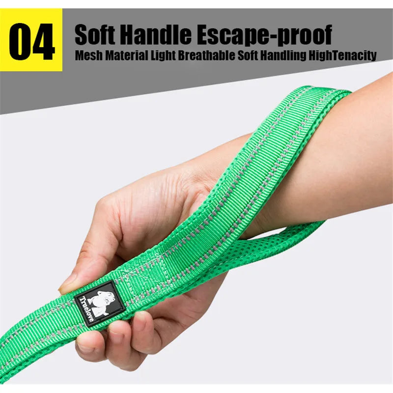 Truelove Soft Pet Leash Reflective Nylon Mesh Padded Puppy Large Dog or Cat Walking Training 11 Color 200cm TLL2112