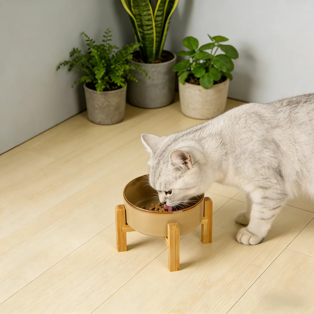 Kiln-Glaze Slow Feeder Pet Bowl with Elevated Wooden Stand, Anti-Tip Cat Dog Food Water Dish, Neck-Friendly Feeder
