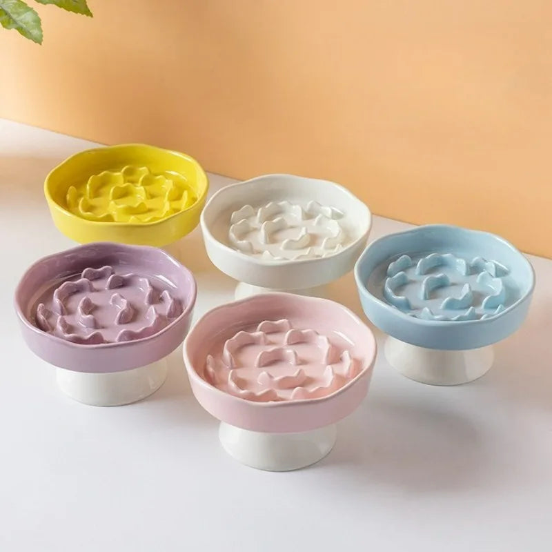 Elevated Cat Bowls Ceramic Slow Feeder Bowls Neck Protection Non-Slip Spill-Resistant for Dogs Cats Water Bowl