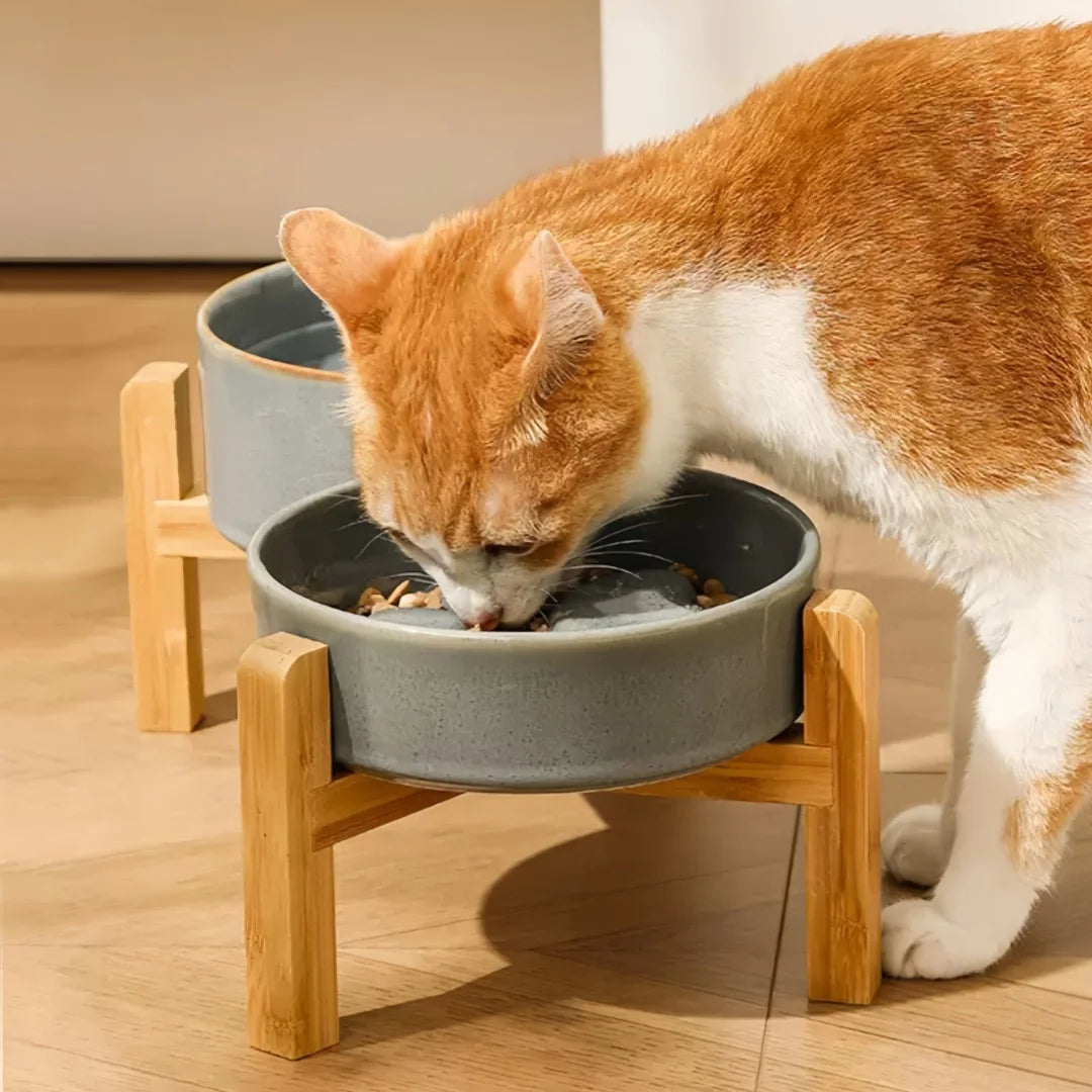 Kiln-Glaze Slow Feeder Pet Bowl with Elevated Wooden Stand, Anti-Tip Cat Dog Food Water Dish, Neck-Friendly Feeder